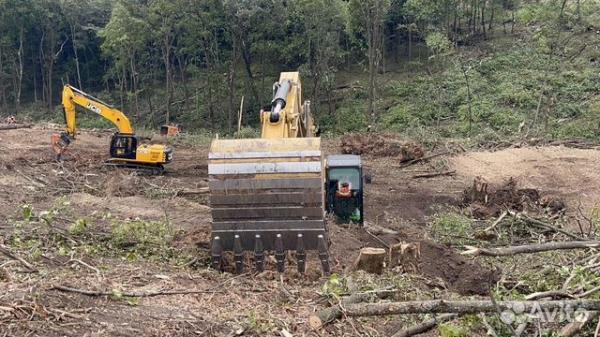 Расчистка 24/7, мульчирование от 1 Га, выкорчевка — фото 3